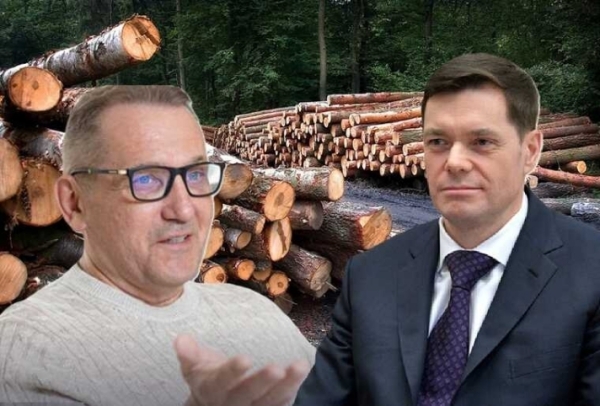 Бенефициары тайги: расшифровка схем Мордашова, Чуркина и компании